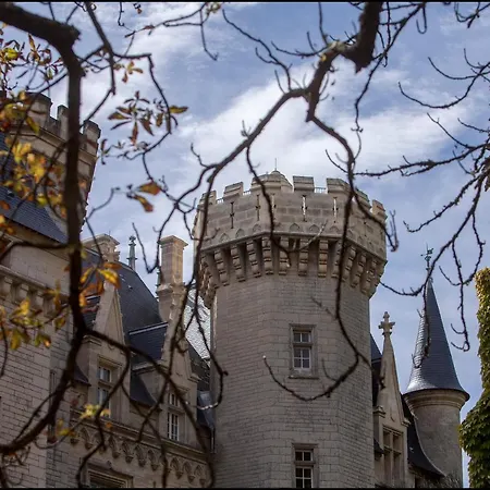 Chateau De Pitray, Pres De Saint Emilion ゲストハウス