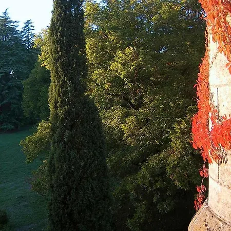 Chateau De Pitray, Pres De Saint Emilion