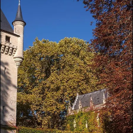 Chateau De Pitray, Pres De Saint Emilion ゲストハウス Gardegan-et-Tourtirac